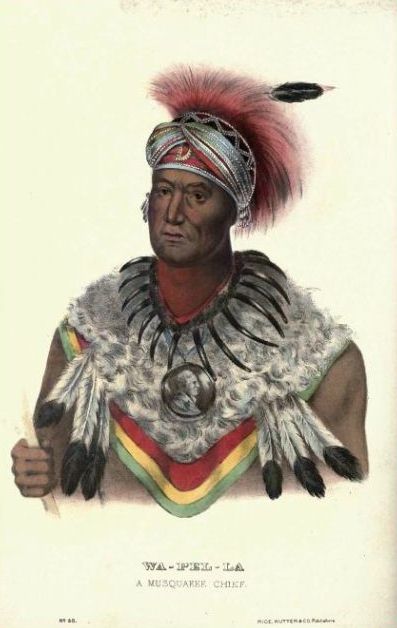 Chief Wapello